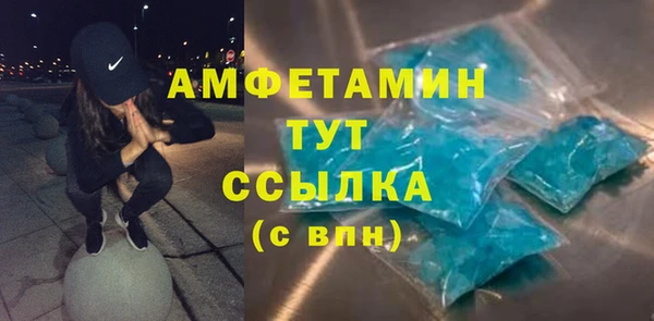 гидра Богородицк