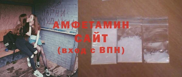гидра Богородицк