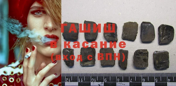 гидра Богородицк