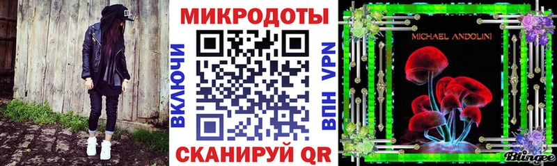 дарк нет как зайти  Будённовск  Галлюциногенные грибы мицелий 