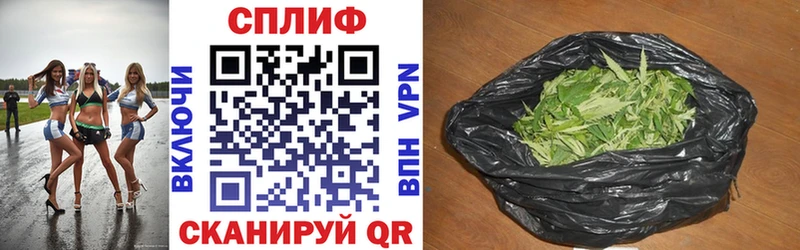 купить наркоту Будённовск Бошки Шишки THC 21%